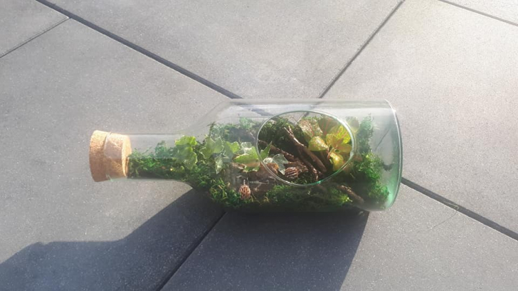 Sylwia, Lubań Sylwia, Lubań