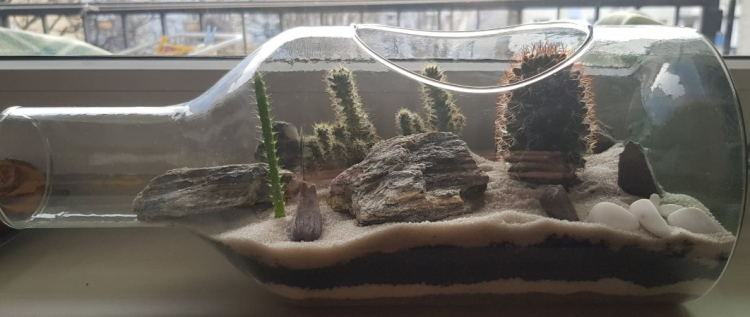 Piotr, Gdańsk Piotr, Gdańsk