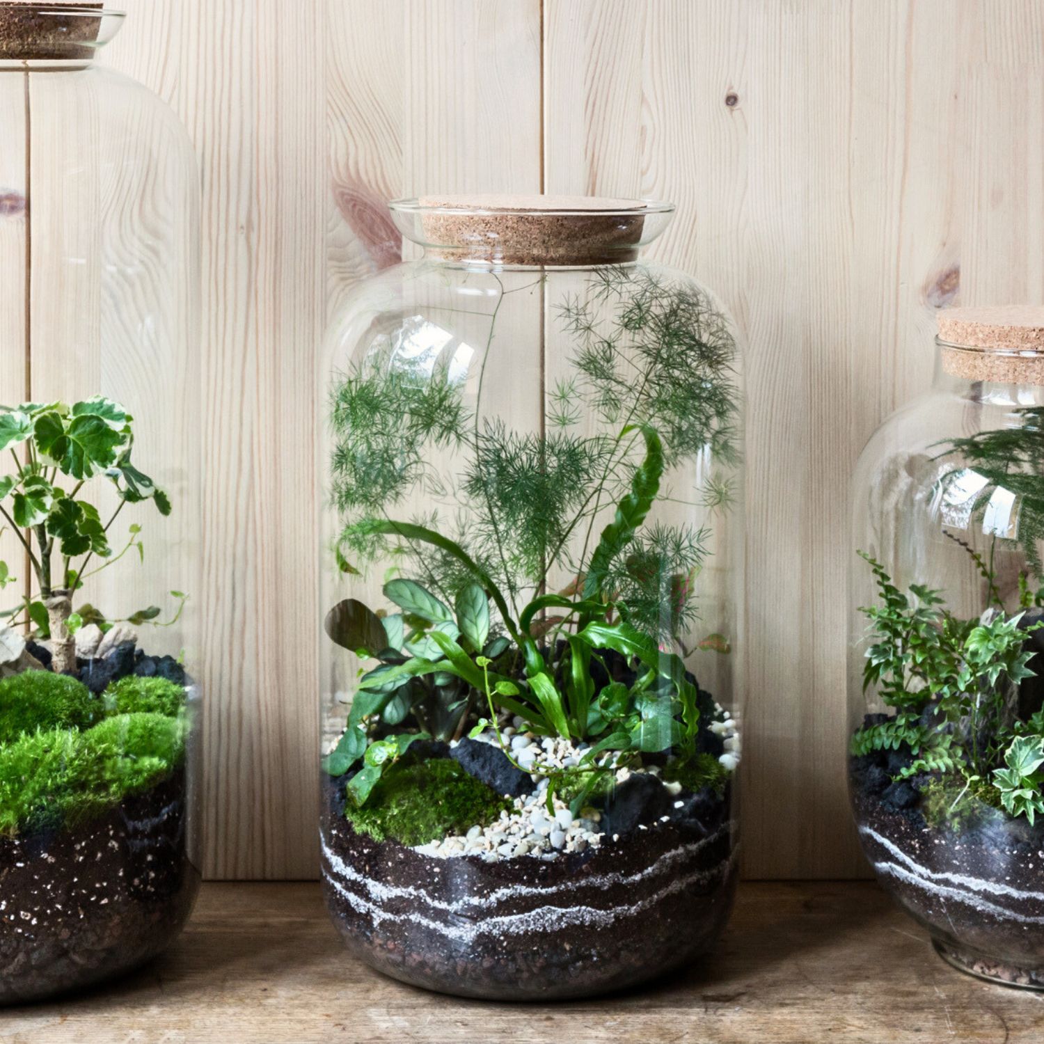 kształt inspirowany słojem