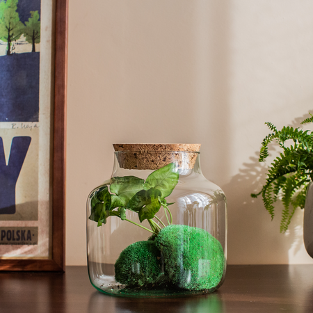 Szklany wazon słój H:21cm D:19cm W-395G+korek gruboziarnisty