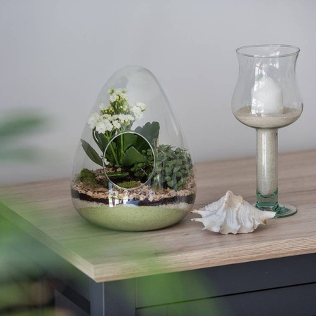Szklane terrarium jajko W-655  H:24 cm D:19cm