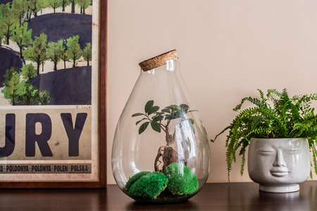 Szklany wazon W-598A skos H:37cm D:25cm+korek z kory litej