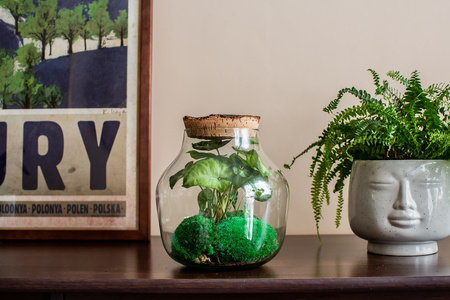 Szklany wazon W-456A+ korek kora lita H:21cm D:19cm