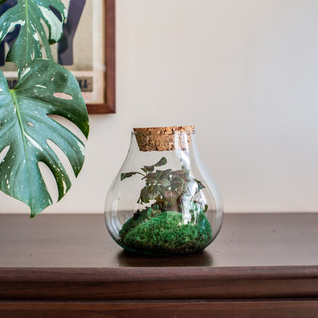 Szklane terrarium W-594+korek gruboziarnisty H:19cm D:17cm