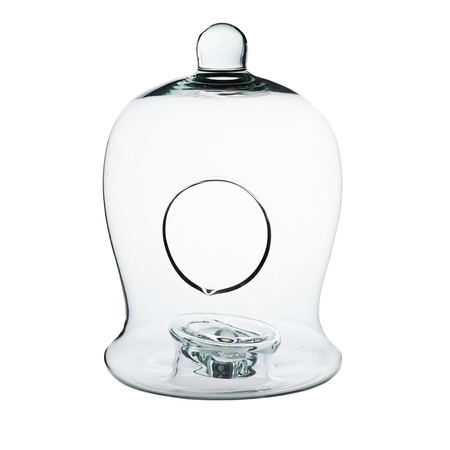 Szklane terrarium dzwonek W-638 H:25 cm D:17cm