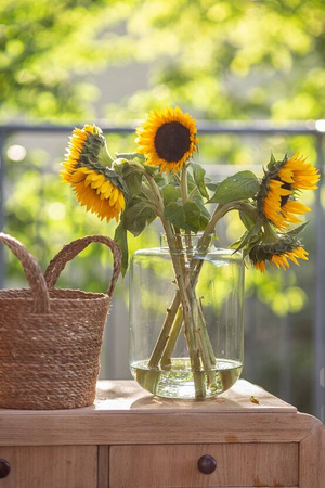 Szklany wazon W-712D H:30cm D:19 cm