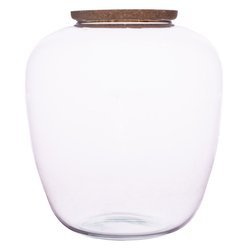 Szklany wazon W-586A+korek H:28cm D:23,5cm
