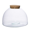 Szklane terrarium WL-82 + korek H:20cm D:31cm