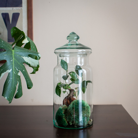 Szklany wazon słój H:32cm D:14cm W-332N1+pokrywa