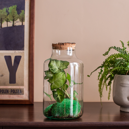 Szklany słój W-395K1+korek kora lita H:25cm D:14,5cm