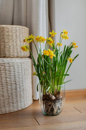 Szklana osłonka na doniczkę W-507 optyk H:16cm D:14cm