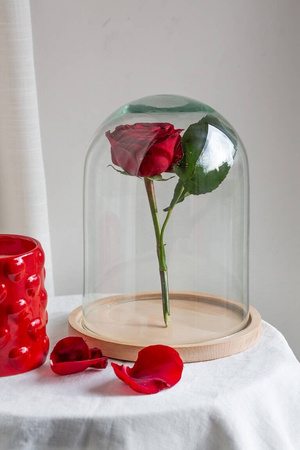 Kopuła szklana z podstawką drewnianą, klosz W-315D2 H:21cm D:15cm