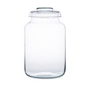 Zestaw szklanych słoi z pokrywką W-395C/C1/E