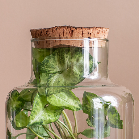 Szklany wazon W-395K2+kora lita H:22cm D:14,5cm