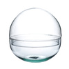 Szklane terrarium kula las w szkle S W-610B+W-611B H:15cm D:15cm