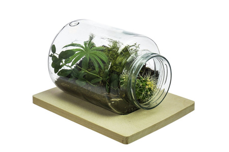 Szklany wazon WM-G001+deska H:20cm D:14,5cm