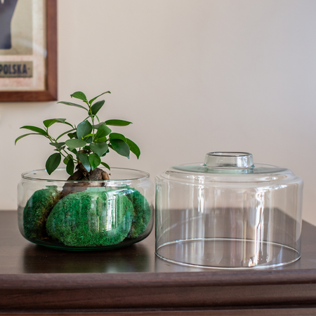 Szklane terrarium dwuczęściowe W-589+W-590 H:22cm D:19cm