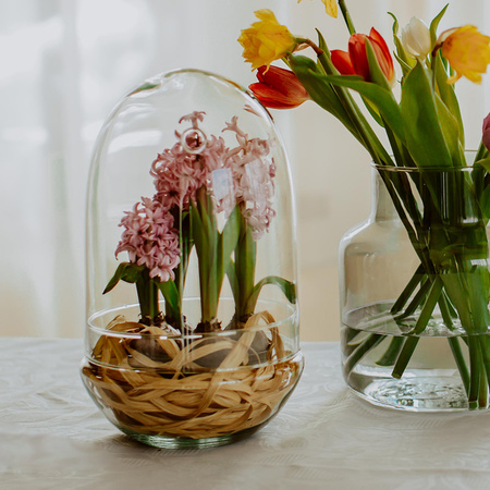 Szklane terrarium, Jajko W-527A+W-527 b. otwór