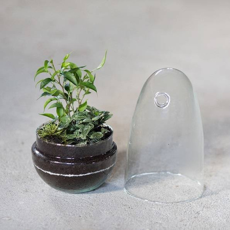Szklane terrarium jajko ogród w szkle W-542A+W-542 boczny otwór H:25cm D:12,5cm SALE