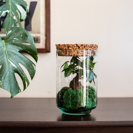 Szklany wazon słój W-797+korek gruboziarnisty H:21,5cm D:13cm