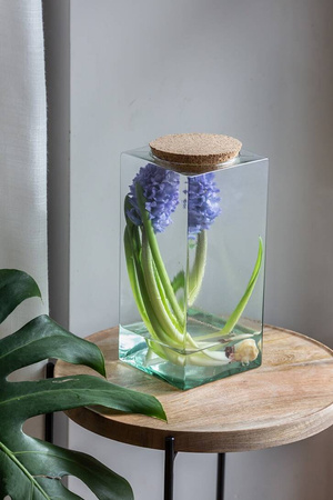 Szklany wazon z korkiem KW-3 H:25 cm D:11,5 cm