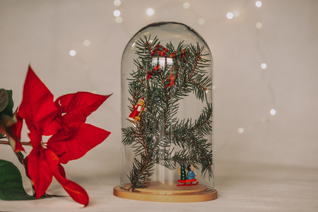 Kopuła szklana z podstawką drewnianą, W-315L2 H:25 cm D:18