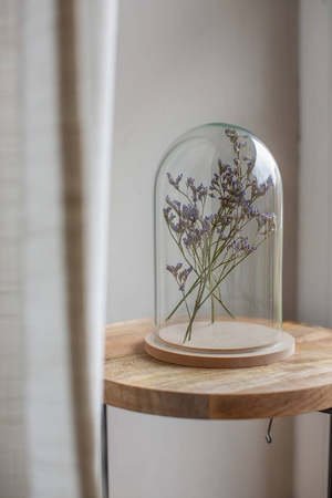 Kopuła szklana z podstawką drewnianą, klosz W-315C H:27cm D:16cm