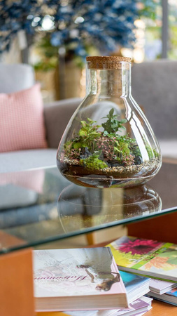 Szklany wazon W-378C+korek H:32cm D:29cm