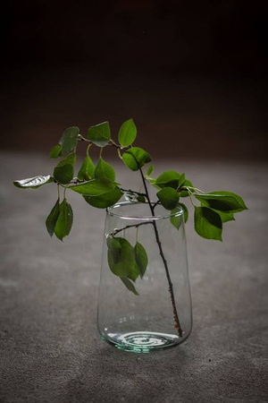 Szklany wazon WL-111A Champagne H:19cm D:13cm