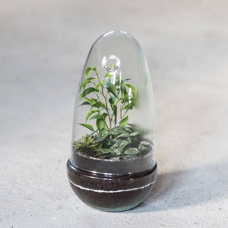 Szklane terrarium jajko ogród w szkle W-542A+W-542 boczny otwór H:25cm D:12,5cm SALE