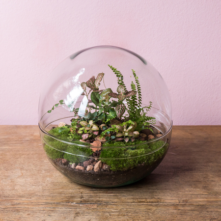 Szklane terrarium kula las w szkle M W-610+W-611 H:19,5cm OUTLET