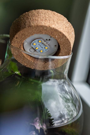 Szklany wazon kula z korkiem LED W-503I H:19,5cm D:19cm