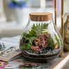 Szklane terrarium W-594+korek H:19cm D:17cm