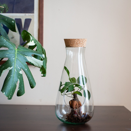 Wazon z korkiem W-772 boczny otwór+korek H:29cm D:14cm