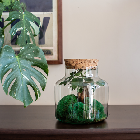 Szklany wazon słój H:21cm D:19cm W-395G+korek gruboziarnisty