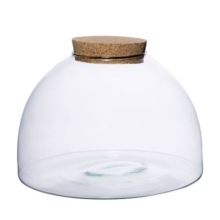 Szklane terrarium WL-82 + korek H:20cm D:31cm