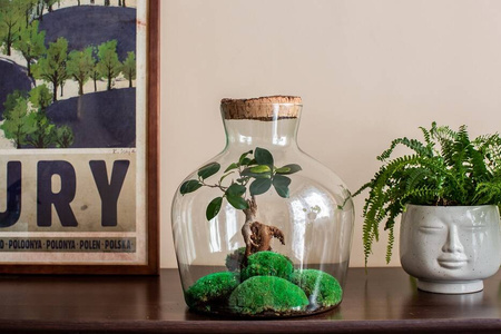 Szklany wazon W-492B+korek kora lita H:30cm D:29cm