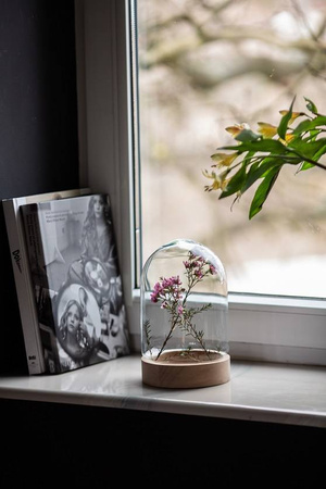 Kopuła szklana z podstawką drewnianą, klosz W-580A+deska H:20cm D:15cm