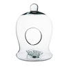 Szklane terrarium dzwonek W-638 H:25 cm D:17cm