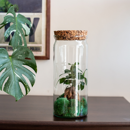 Szklany wazon słój z korkiem W-562C+korek H:34cm D:14cm