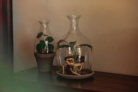 Osłonka W-286/A+doniczka ceramiczna H:33cm D:19cm