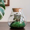 Szklane terrarium W-594+korek gruboziarnisty H:19cm D:17cm