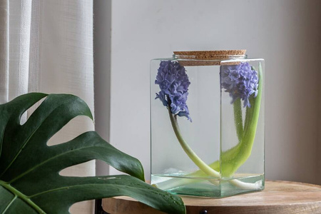 Szklany wazon z korkiem KW-3A H:18,5 cm cm D:11,5 cm