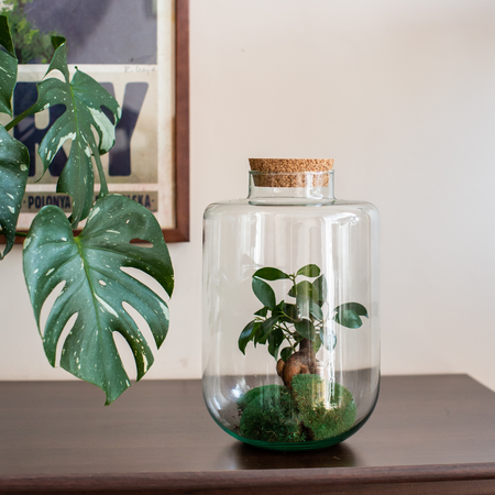 Szklany wazon słój W-712D+korek H:32cm D:19cm