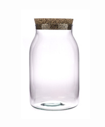 Szklane terrarium W-726 + korek H:23cm D:11,5cm