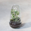 Szklane terrarium jajko ogród w szkle W-542A+W-542 boczny otwór H:25cm D:12,5cm SALE