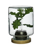 Szklane terrarium WM-G001+nakretka BO H:22cm D:14,5
