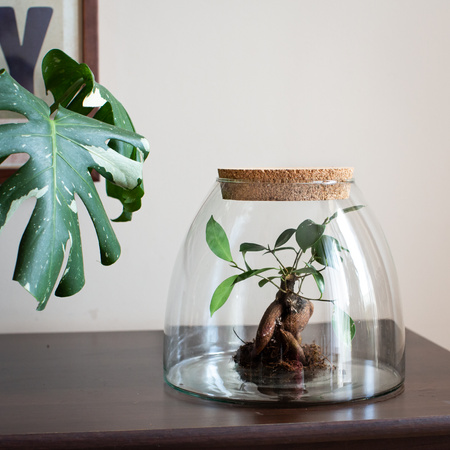 Szklany wazon W-440C+korek H:22,5cm D:25cm