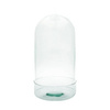 Kopuła szklana z bazą las w szkle W-315E1+cylinder H:40cm D:20cm