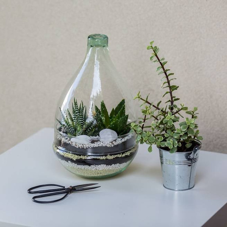 Szklane terrarium W-645+W-527 H:30cm D:18,5cm